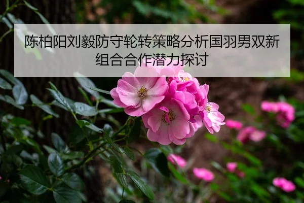 陈柏阳刘毅防守轮转策略分析国羽男双新组合合作潜力探讨