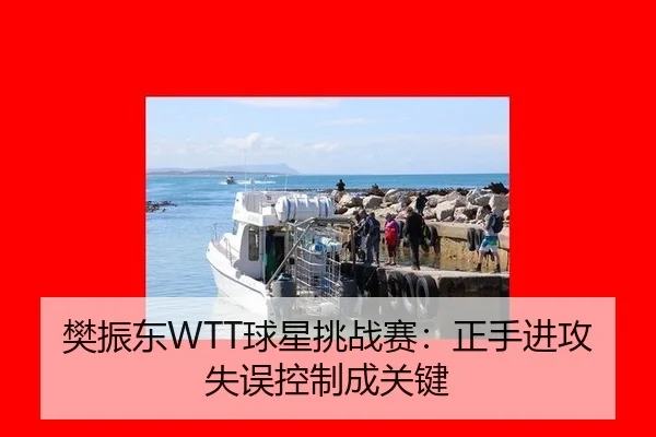 樊振东WTT球星挑战赛：正手进攻失误控制成关键