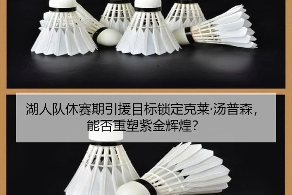湖人队休赛期引援目标锁定克莱·汤普森，能否重塑紫金辉煌？