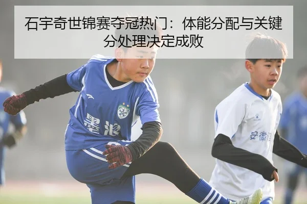 shi-yu-qi-shi-jin-sai-duo-guan-re-men-ti-neng-fen-pei-yu-guan-jian-fen-chu-li-jue-ding-cheng-bai-3-413.jpg