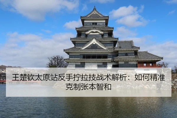 王楚钦太原站反手拧拉技战术解析：如何精准克制张本智和