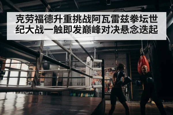 boxer training