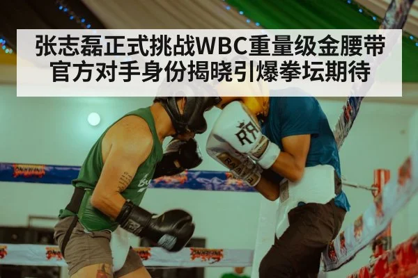 张志磊正式挑战WBC重量级金腰带 官方对手身份揭晓引爆拳坛期待