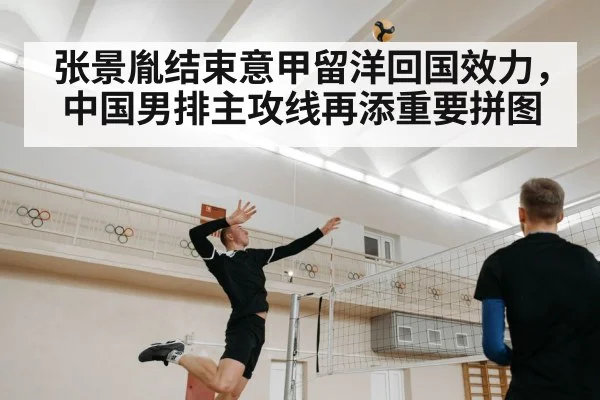 张景胤结束意甲留洋回国效力，中国男排主攻线再添重要拼图