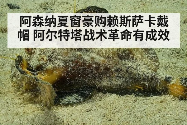 阿森纳夏窗豪购赖斯萨卡戴帽 阿尔特塔战术革命有成效